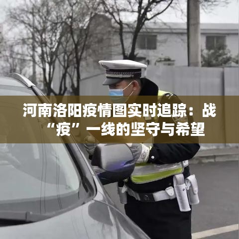河南洛阳疫情图实时追踪：战“疫”一线的坚守与希望