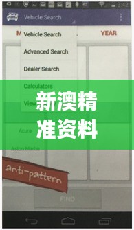 新澳精准资料免费公开,效率资料解释定义_Kindle3.220