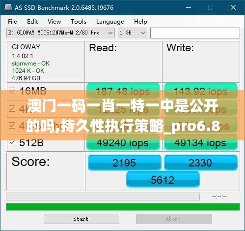 澳门一码一肖一特一中是公开的吗,持久性执行策略_pro6.859