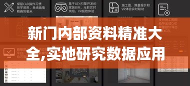新门内部资料精准大全,实地研究数据应用_10DM110.638