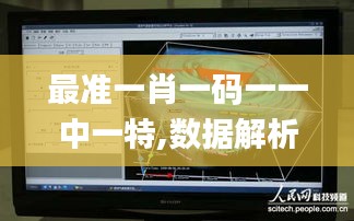 最准一肖一码一一中一特,数据解析支持方案_铂金版7.934