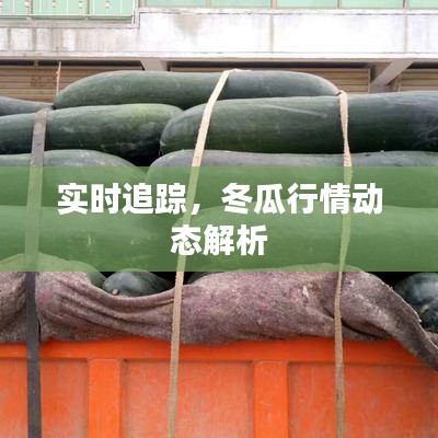 水浄鹅飞 第5页