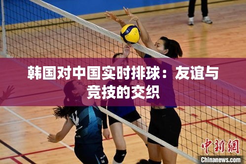 韩国对中国实时排球:友谊与竞技的交织