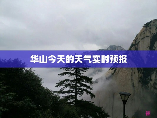 橘虞初梦 第4页
