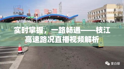 实时掌握，一路畅通——枝江高速路况直播视频解析