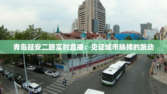 青岛延安二路实时直播：见证城市脉搏的跳动