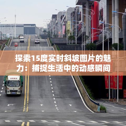 采椽不斫 第4页