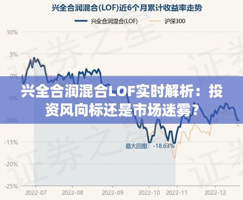 兴全合润混合LOF实时解析：投资风向标还是市场迷雾？