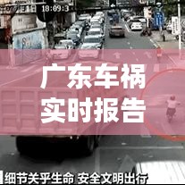 甄繁就简 第5页