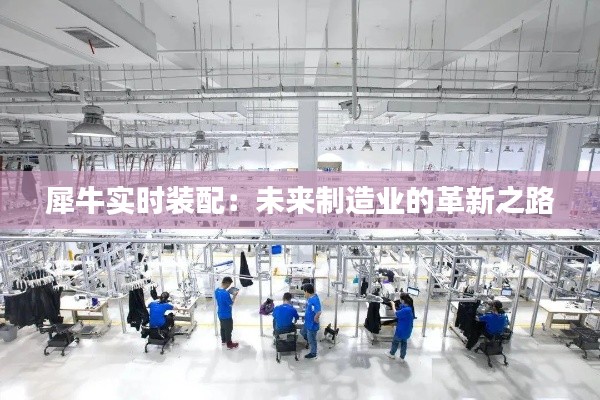 犀牛实时装配：未来制造业的革新之路