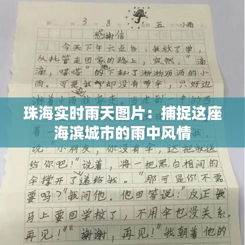珠海实时雨天图片：捕捉这座海滨城市的雨中风情