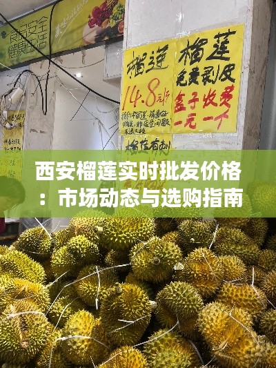 西安榴莲实时批发价格：市场动态与选购指南