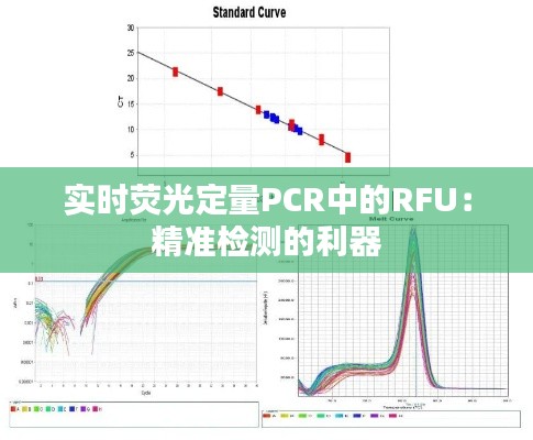 实时荧光定量PCR中的RFU：精准检测的利器
