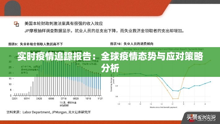 实时疫情追踪报告：全球疫情态势与应对策略分析