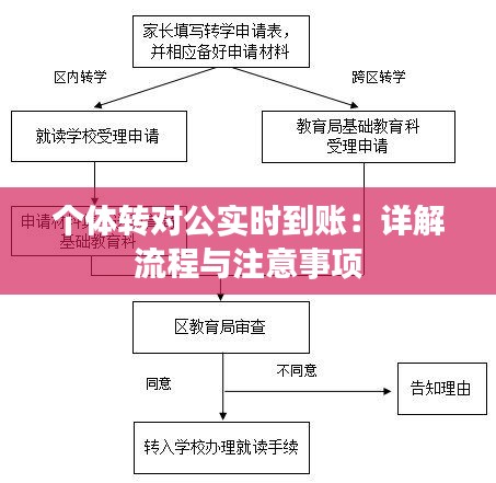 个体转对公实时到账：详解流程与注意事项