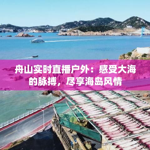 下马看花 第5页