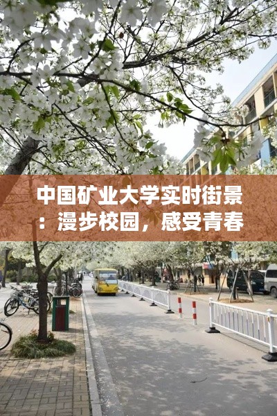 中国矿业大学实时街景：漫步校园，感受青春活力