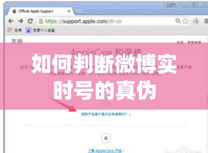 祖道供张 第4页