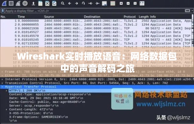 Wireshark实时播放语音：网络数据包中的声音解码之旅
