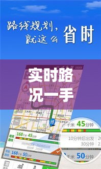实时路况一手掌握：揭秘交通实时路况查询平台