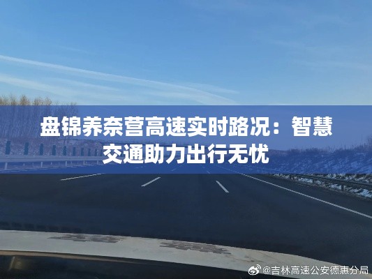 奔走如飞 第4页