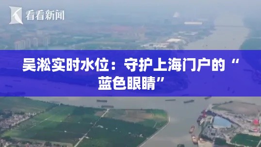 吴淞实时水位：守护上海门户的“蓝色眼睛”