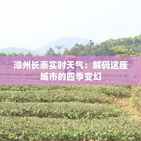 漳州长泰实时天气：解码这座城市的四季变幻