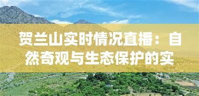 贺兰山实时情况直播：自然奇观与生态保护的实时观察