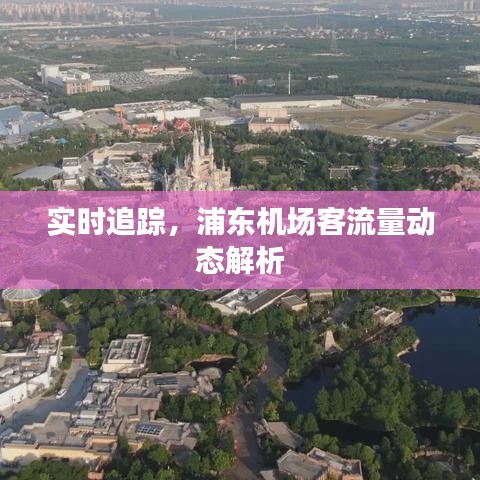 实时追踪，浦东机场客流量动态解析