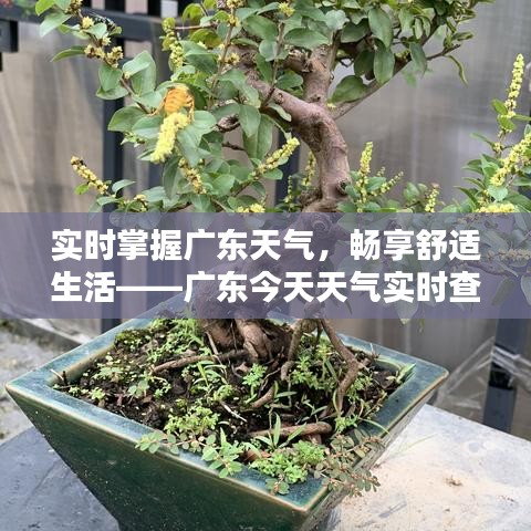 披肝沥胆 第4页