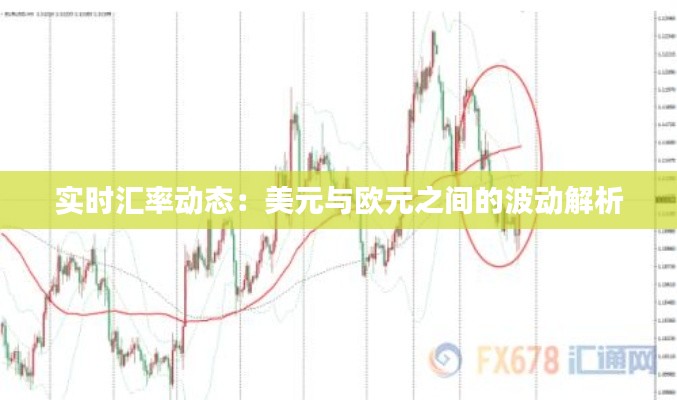 实时汇率动态：美元与欧元之间的波动解析