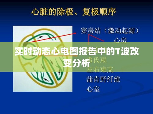 天生丽质 第4页