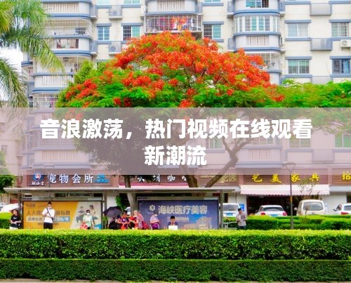 音浪激荡，热门视频在线观看新潮流