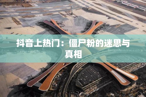 抖音上热门：僵尸粉的迷思与真相