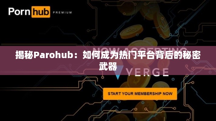 揭秘Parohub：如何成为热门平台背后的秘密武器