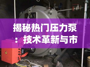 揭秘热门压力泵：技术革新与市场前景