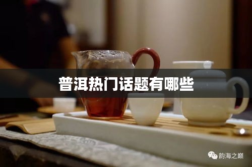 普洱热门话题有哪些