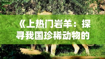 《上热门岩羊：探寻我国珍稀动物的魅力与挑战》
