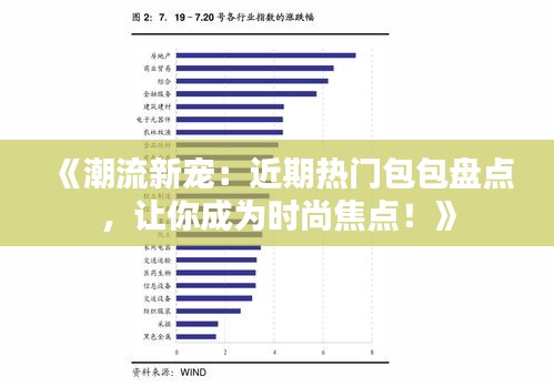 《潮流新宠：近期热门包包盘点，让你成为时尚焦点！》