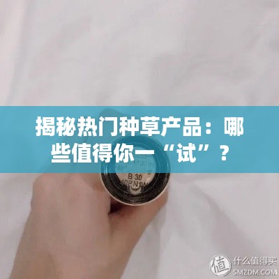 揭秘热门种草产品：哪些值得你一“试”？