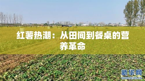 张惶失措 第5页