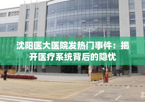 七贵三公 第4页