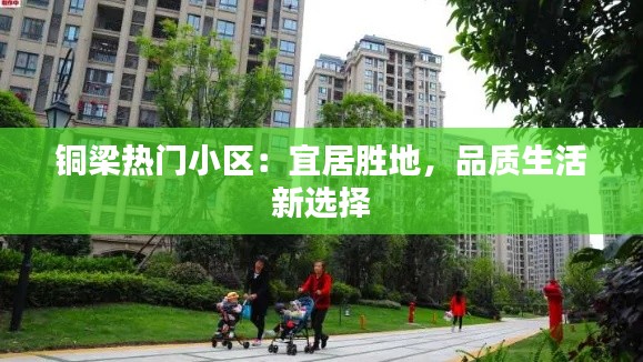 十年磨剑 第3页