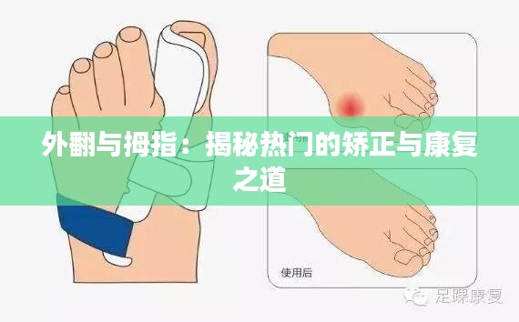 普度众生 第4页