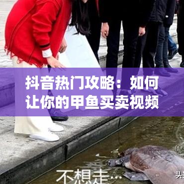 抖音热门攻略：如何让你的甲鱼买卖视频一夜爆红