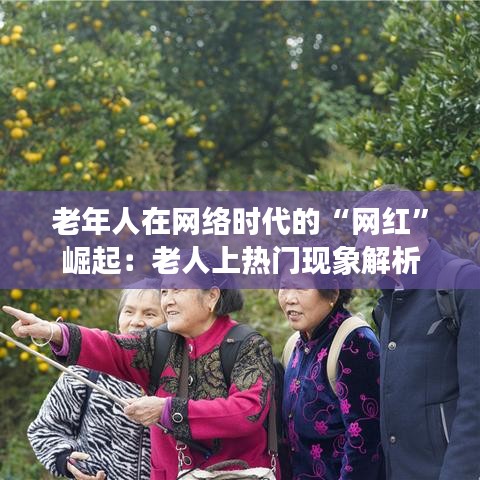 老年人在网络时代的“网红”崛起：老人上热门现象解析