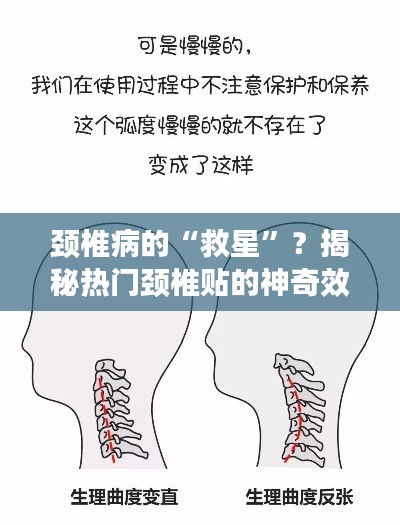 冰清玉洁 第4页