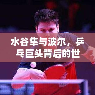 水谷隼与波尔，乒乓巨头背后的世界排名揭秘