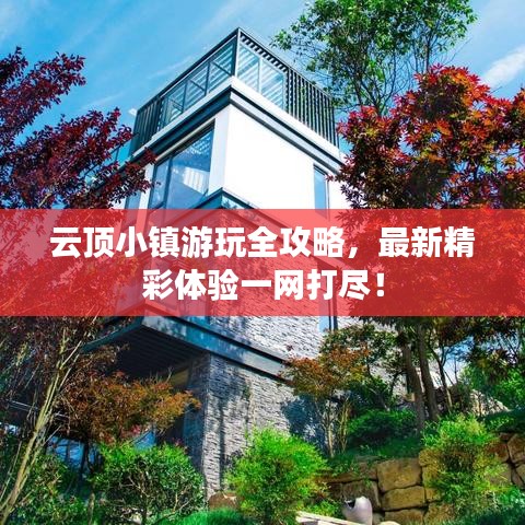 鸟云之阵 第4页