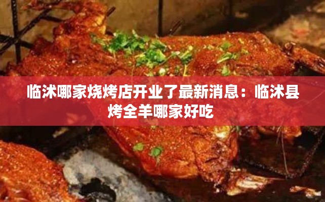 临沭哪家烧烤店开业了最新消息：临沭县烤全羊哪家好吃 